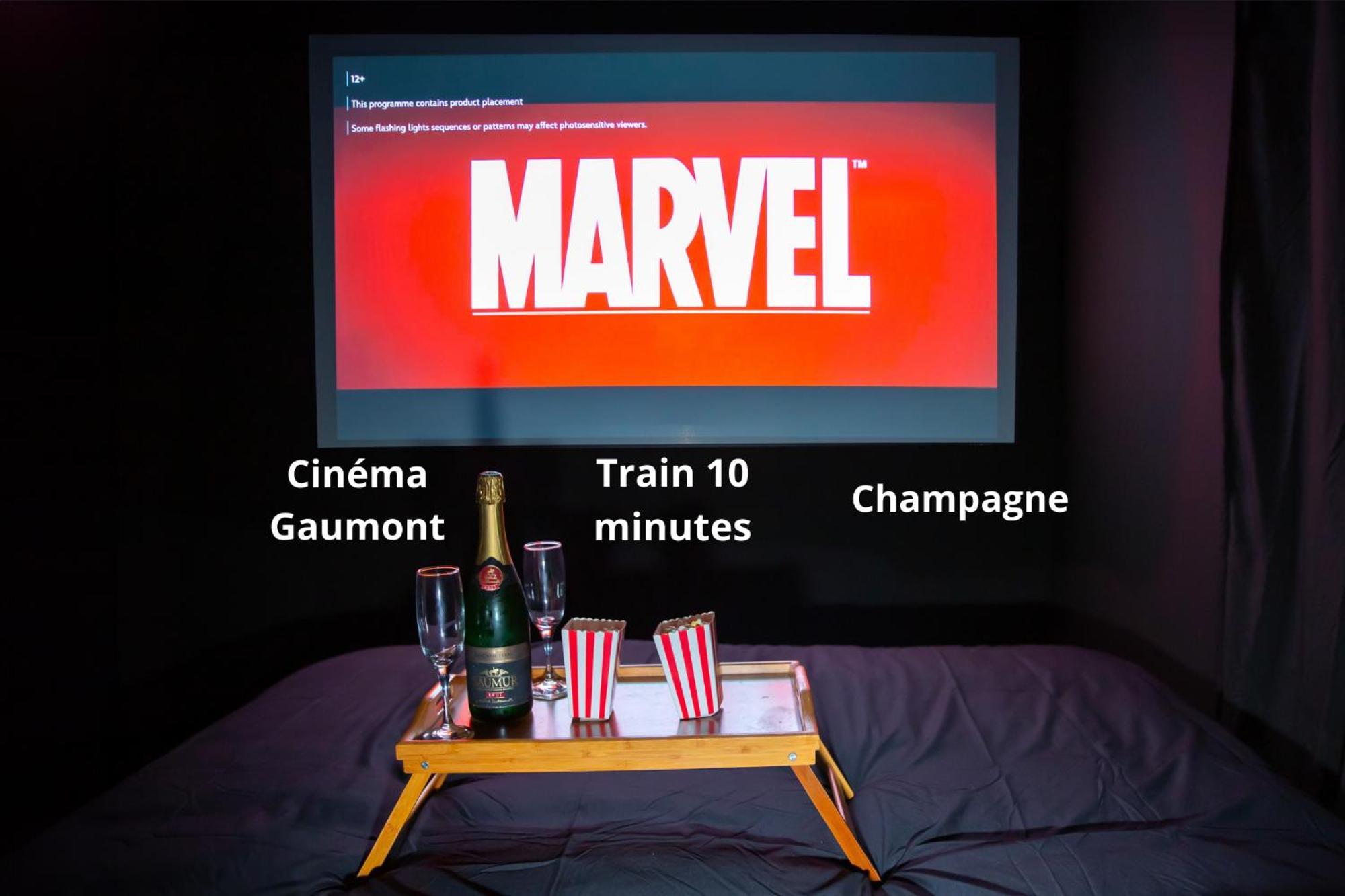 Cinema Prive-compiegne - Sitivia Holiday home *